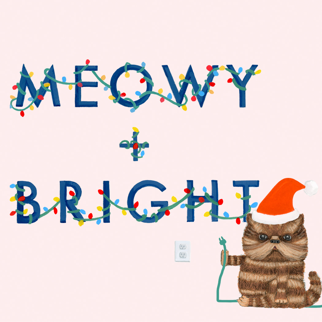 Meowy + Bright  